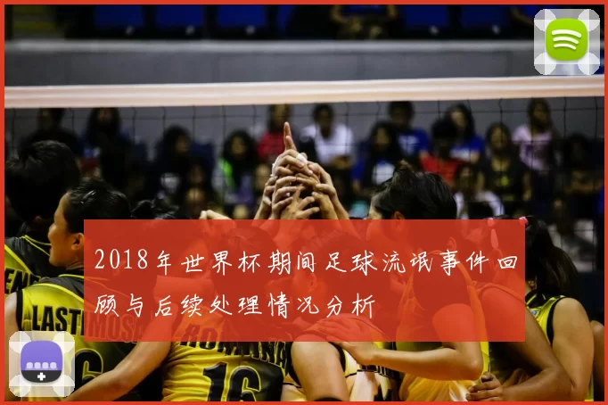 2018年世界杯期间足球流氓事件回顾与后续处理情况分析