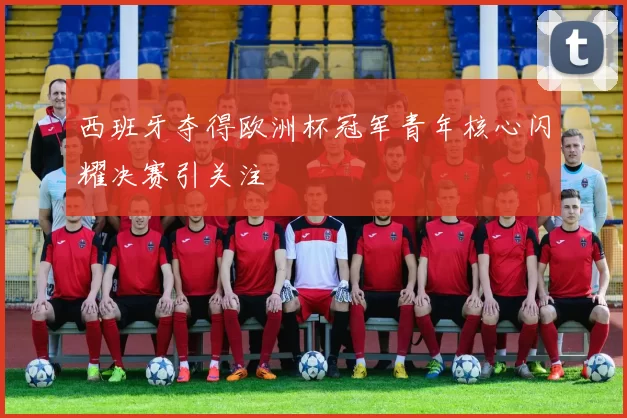 西班牙夺得欧洲杯冠军青年核心闪耀决赛引关注
