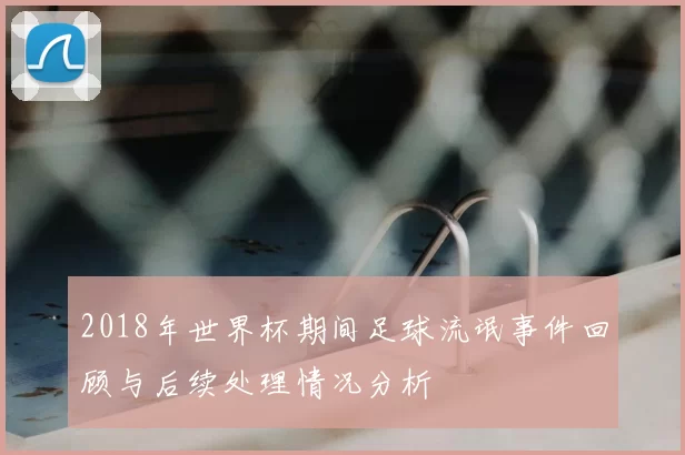 2018年世界杯期间足球流氓事件回顾与后续处理情况分析