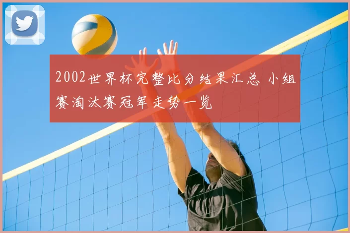 2002世界杯完整比分结果汇总 小组赛淘汰赛冠军走势一览