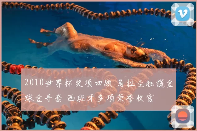 2010世界杯奖项回顾 乌拉圭独揽金球金手套 西班牙多项荣誉收官