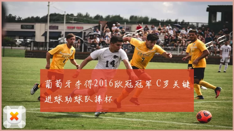 葡萄牙夺得2016欧冠冠军 C罗关键进球助球队捧杯